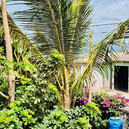 Casa Chiquinha Apartman Ribeira da Prata Kültér fotó