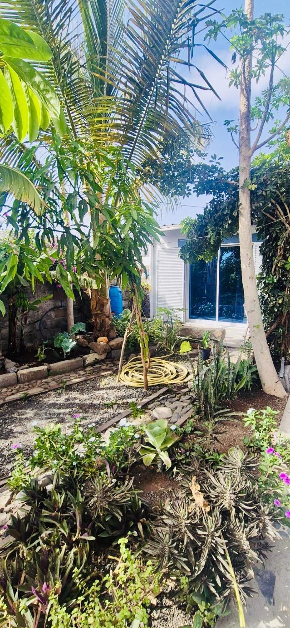 Casa Chiquinha Apartman Ribeira da Prata Kültér fotó