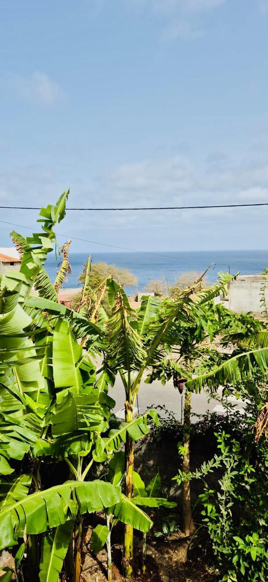 Casa Chiquinha Apartman Ribeira da Prata Kültér fotó
