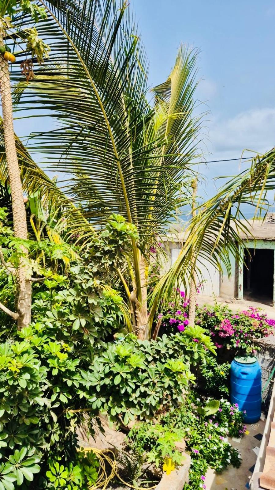 Casa Chiquinha Apartman Ribeira da Prata Kültér fotó